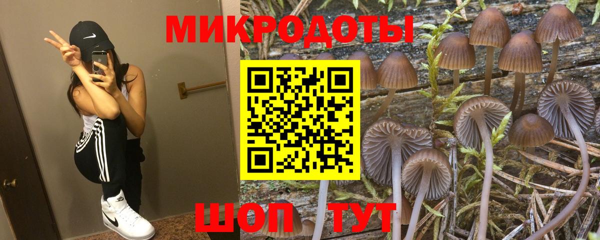 Псилоцибиновые грибы Magic Shrooms  Вход с VPN  купить закладку  Заволжье  Галлюциногенные грибы Magic Shrooms 